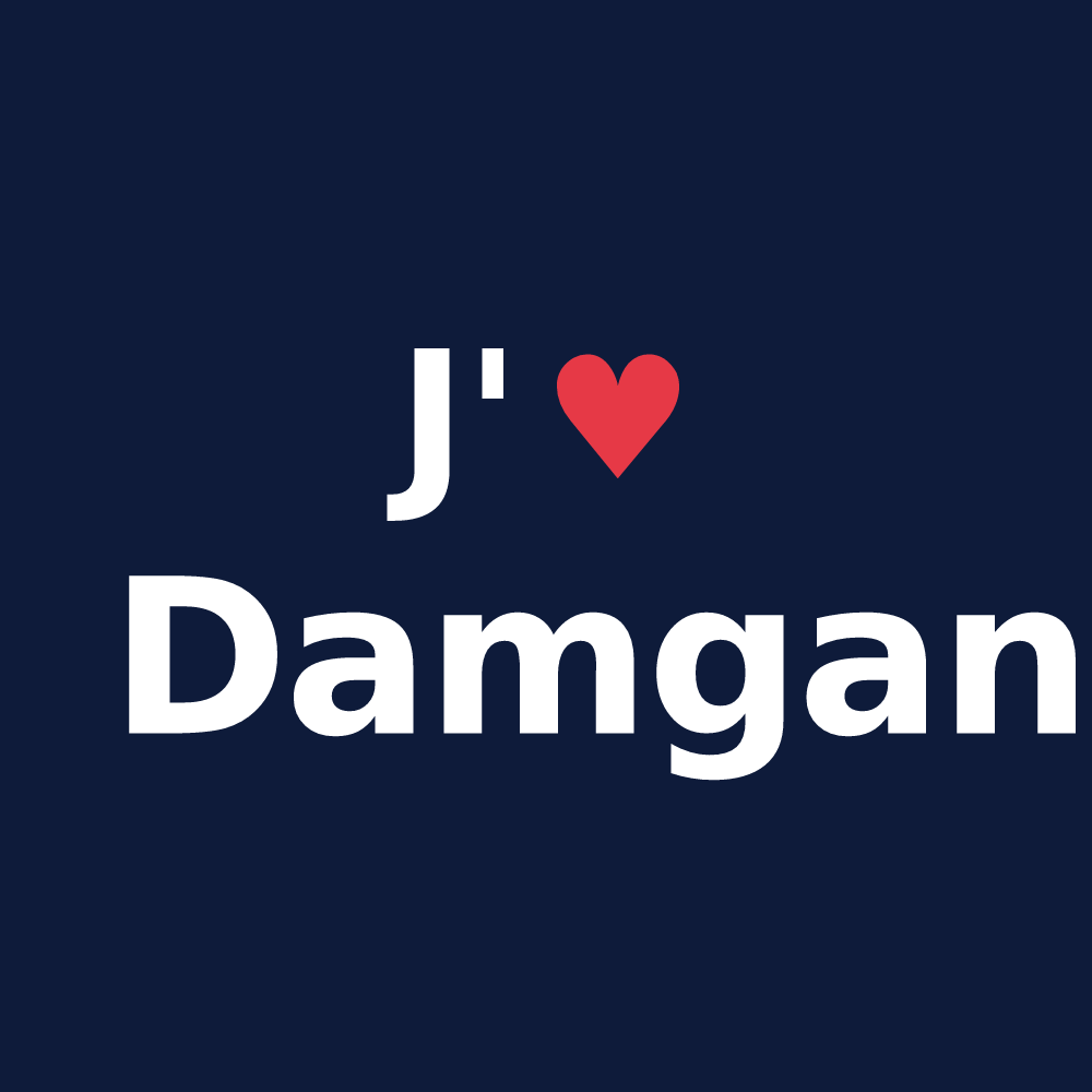 T-shirt personnalisé Damgan — design J'aime Damgan