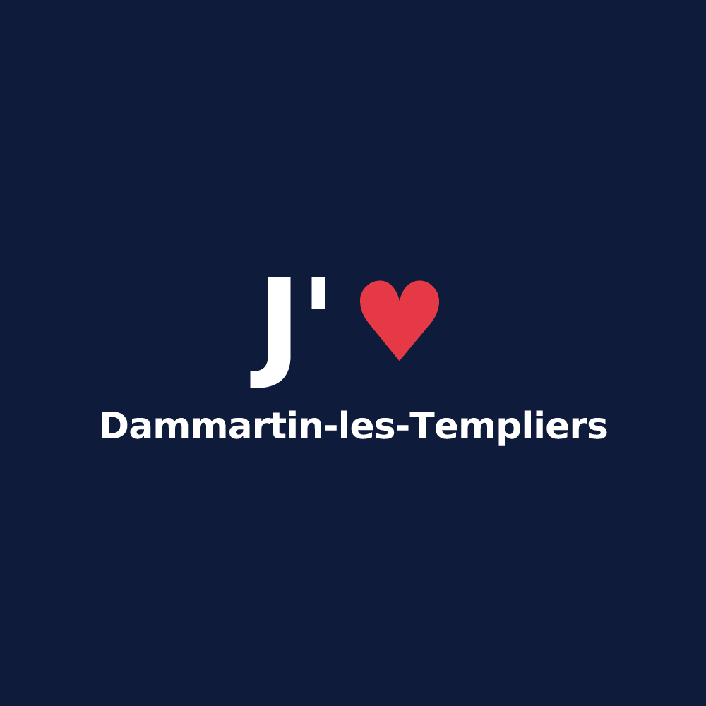 T-shirt personnalisé Dammartin-les-Templiers — design J'aime Dammartin-les-Templiers