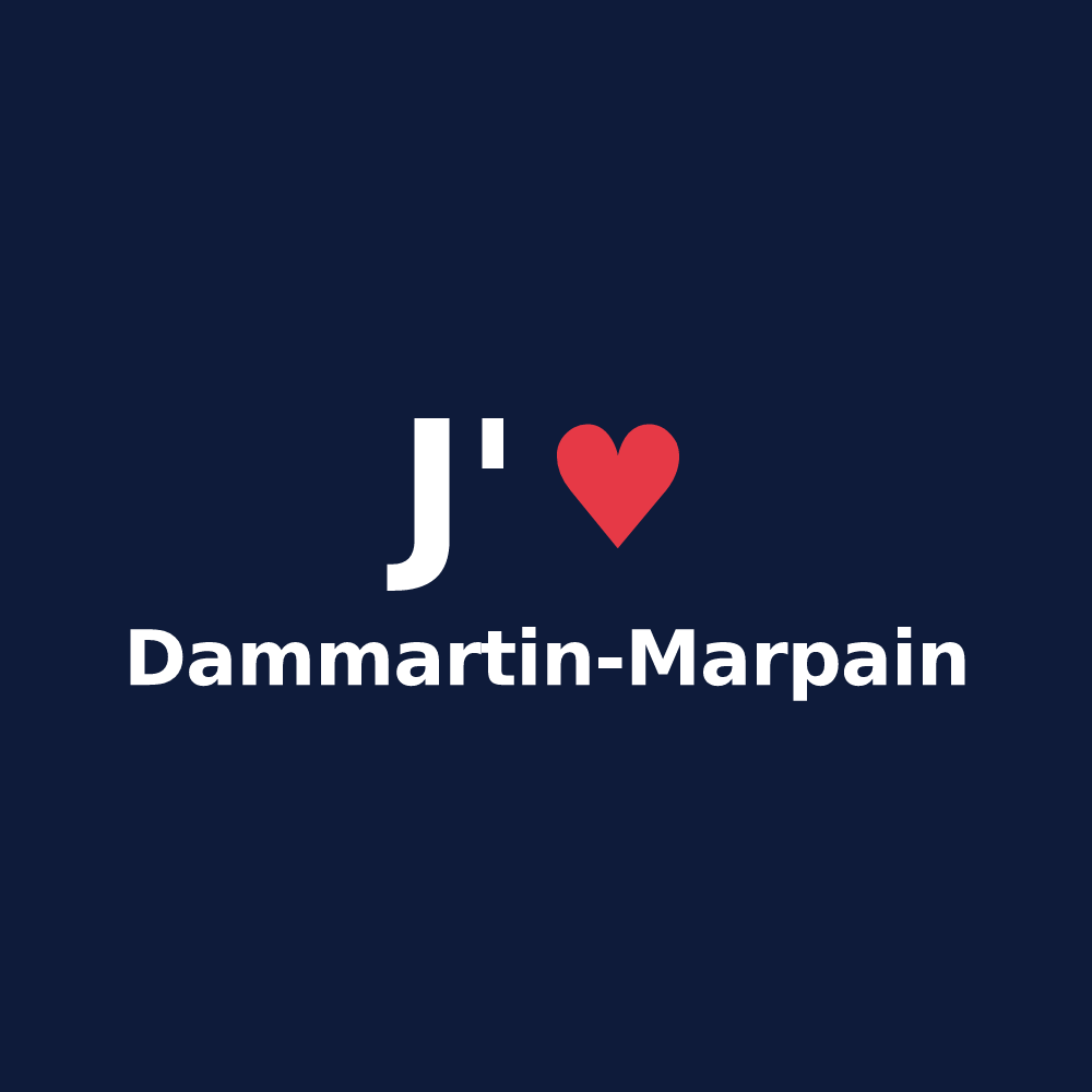 T-shirt personnalisé Dammartin-Marpain — design J'aime Dammartin-Marpain