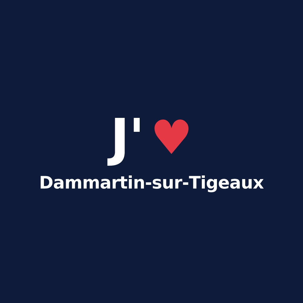T-shirt personnalisé Dammartin-sur-Tigeaux — design J'aime Dammartin-sur-Tigeaux