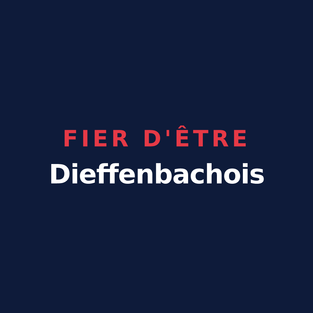 T-shirt « Fier d'être Dieffenbachois » — design pour Dieffenbach-au-Val