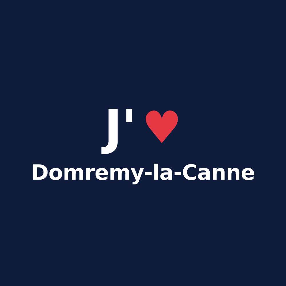 T-shirt personnalisé Domremy-la-Canne — design J'aime Domremy-la-Canne