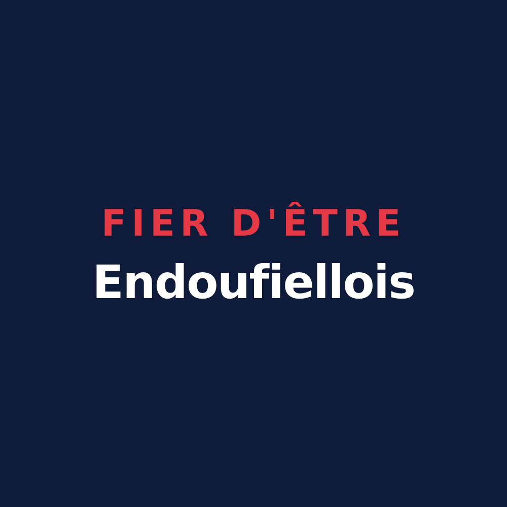 T-shirt « Fier d'être Endoufiellois » — design pour Endoufielle