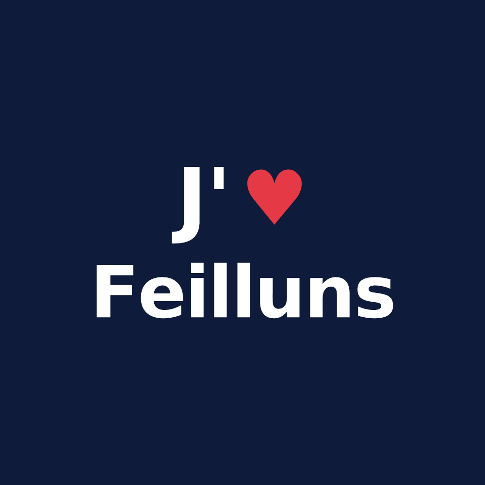 T-shirt personnalisé Feilluns — design J'aime Feilluns