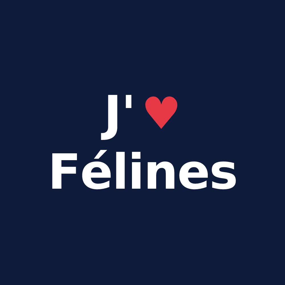T-shirt personnalisé Félines — design J'aime Félines