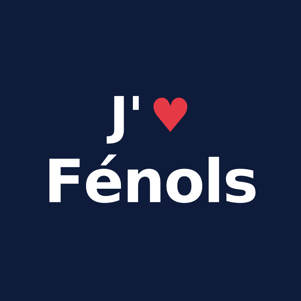 T-shirt personnalisé Fénols — design J'aime Fénols