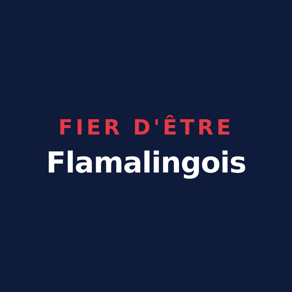 T-shirt « Fier d'être Flamalingois » — design pour Flamarens