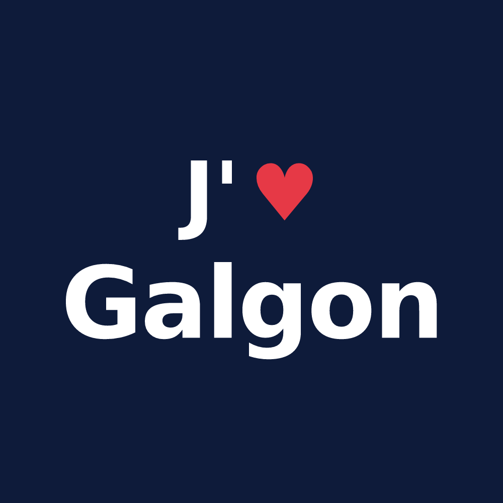 T-shirt personnalisé Galgon — design J'aime Galgon