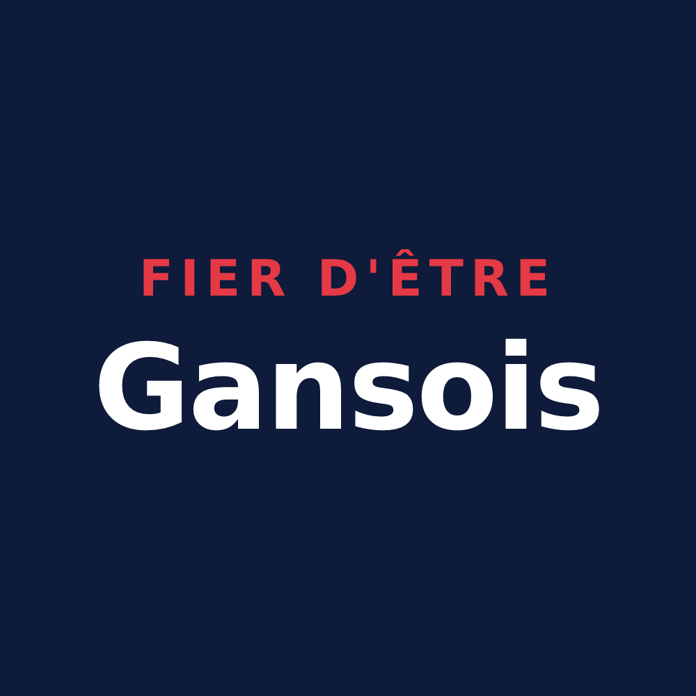 T-shirt « Fier d'être Gansois » — design pour Gans