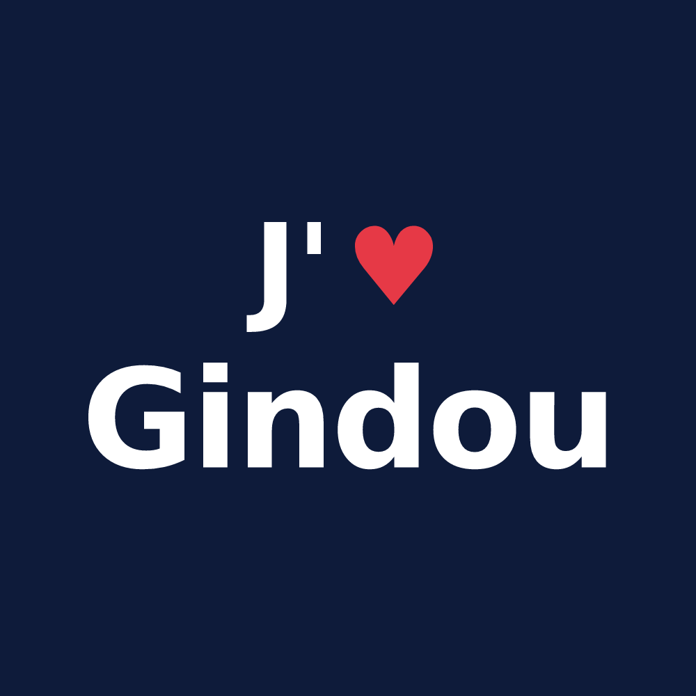 T-shirt personnalisé Gindou — design J'aime Gindou