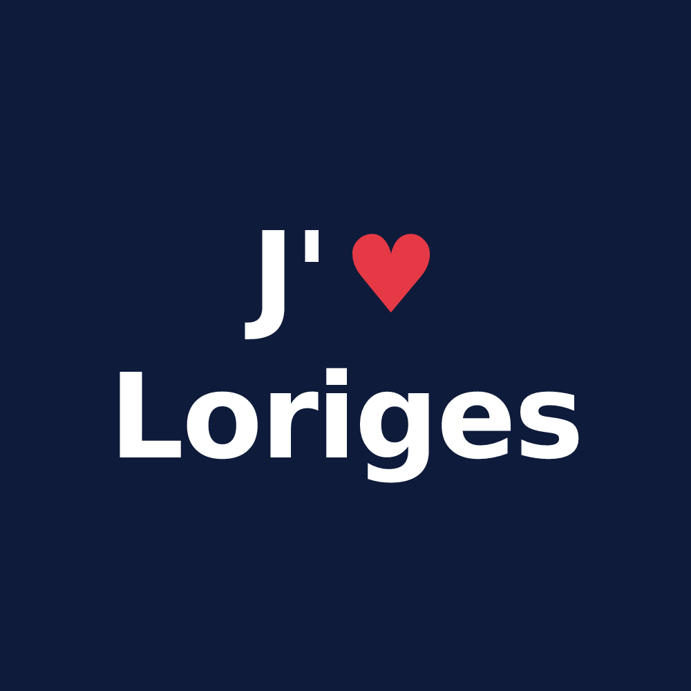 T-shirt personnalisé Loriges — design J'aime Loriges