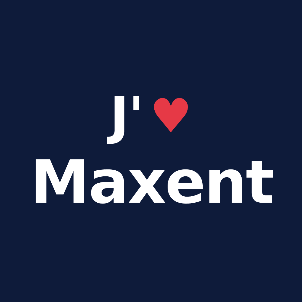 T-shirt personnalisé Maxent — design J'aime Maxent