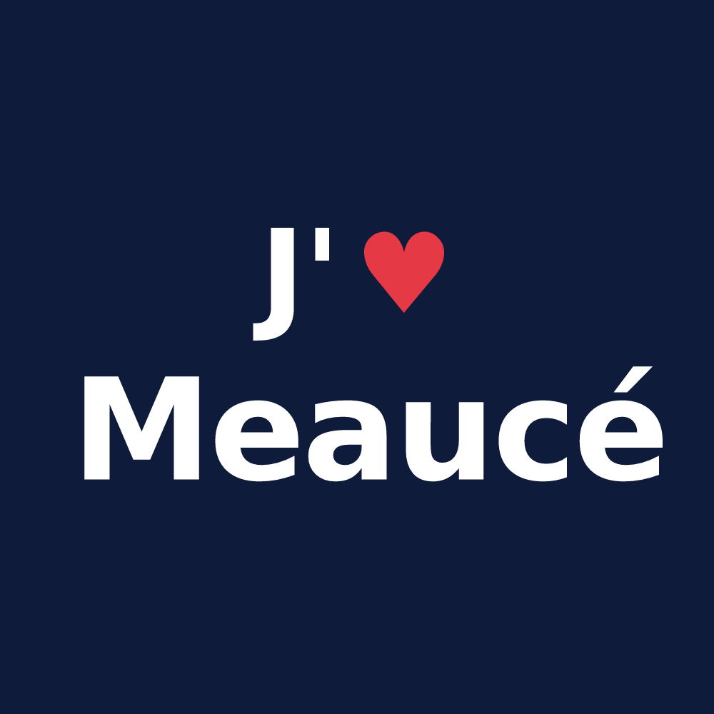 T-shirt personnalisé Meaucé — design J'aime Meaucé