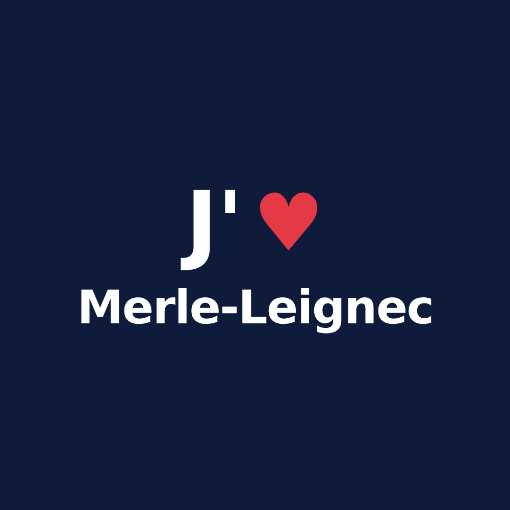 T-shirt personnalisé Merle-Leignec — design J'aime Merle-Leignec