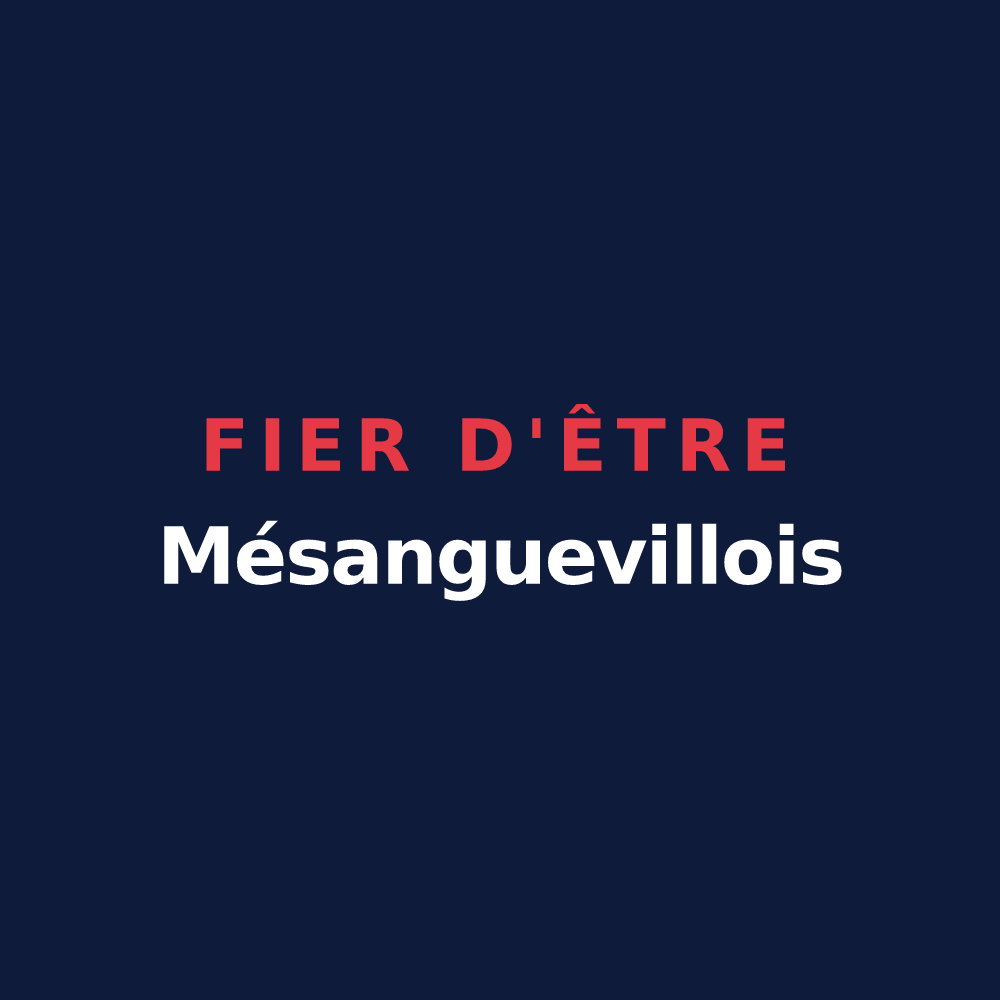 T-shirt « Fier d'être Mésanguevillois » — design pour Mésangueville