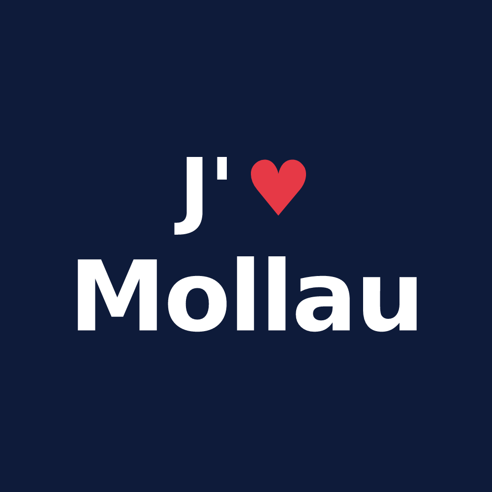 T-shirt personnalisé Mollau — design J'aime Mollau
