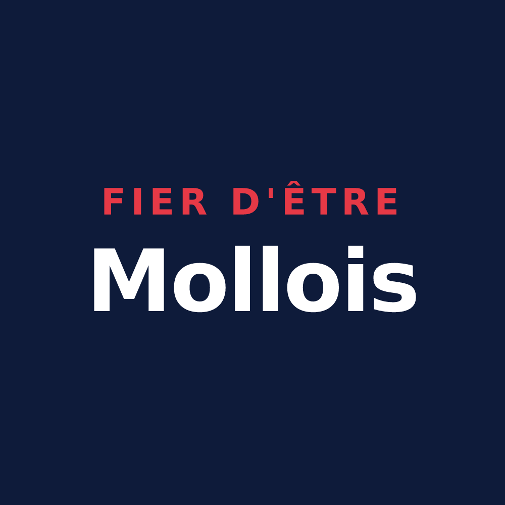 T-shirt « Fier d'être Mollois » — design pour Molles