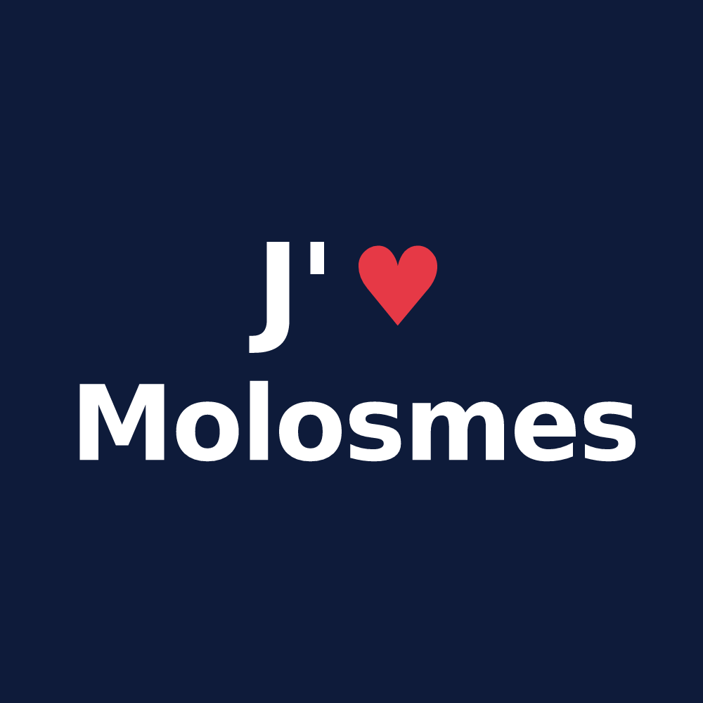T-shirt personnalisé Molosmes — design « J'aime Molosmes » imprimé sur le t-shirt