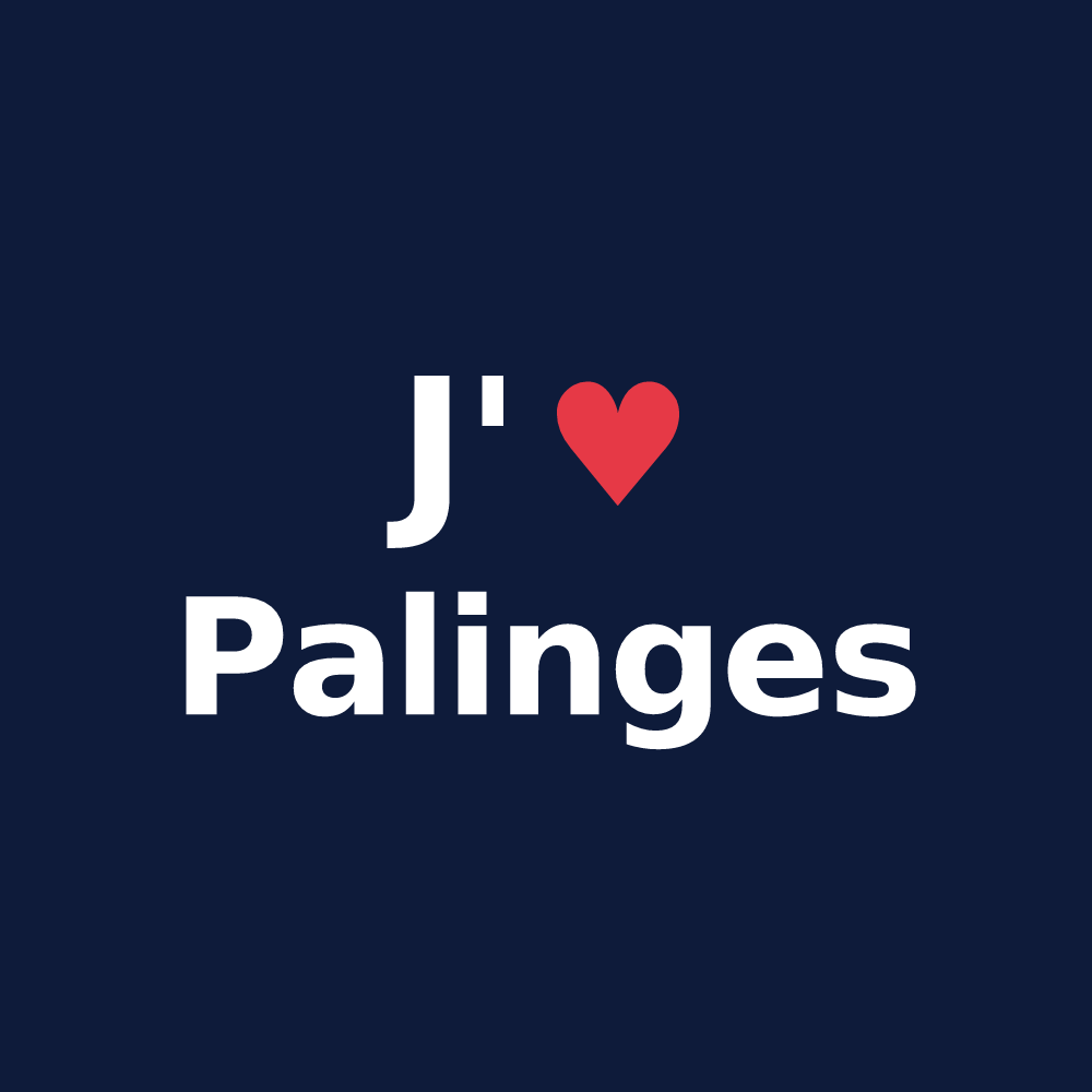 T-shirt personnalisé Palinges — design J'aime Palinges