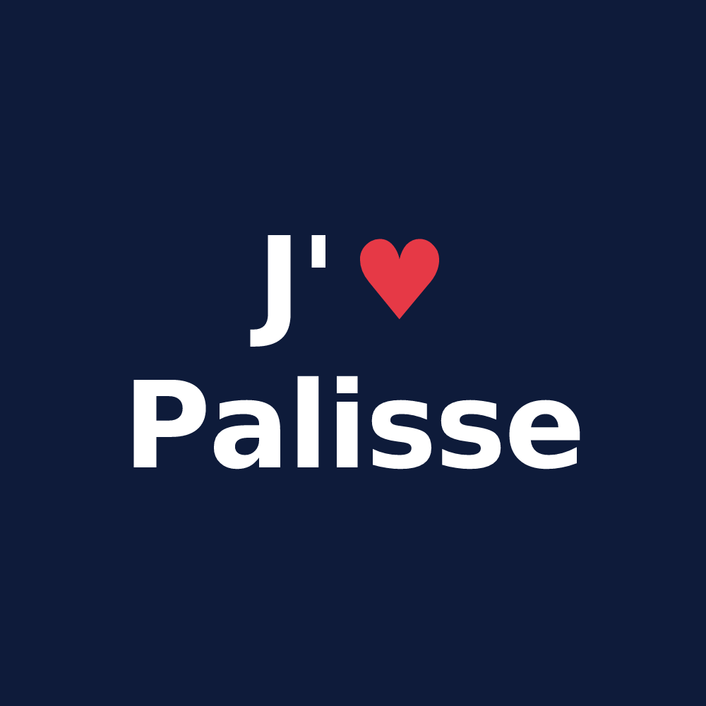 T-shirt personnalisé Palisse — design J'aime Palisse