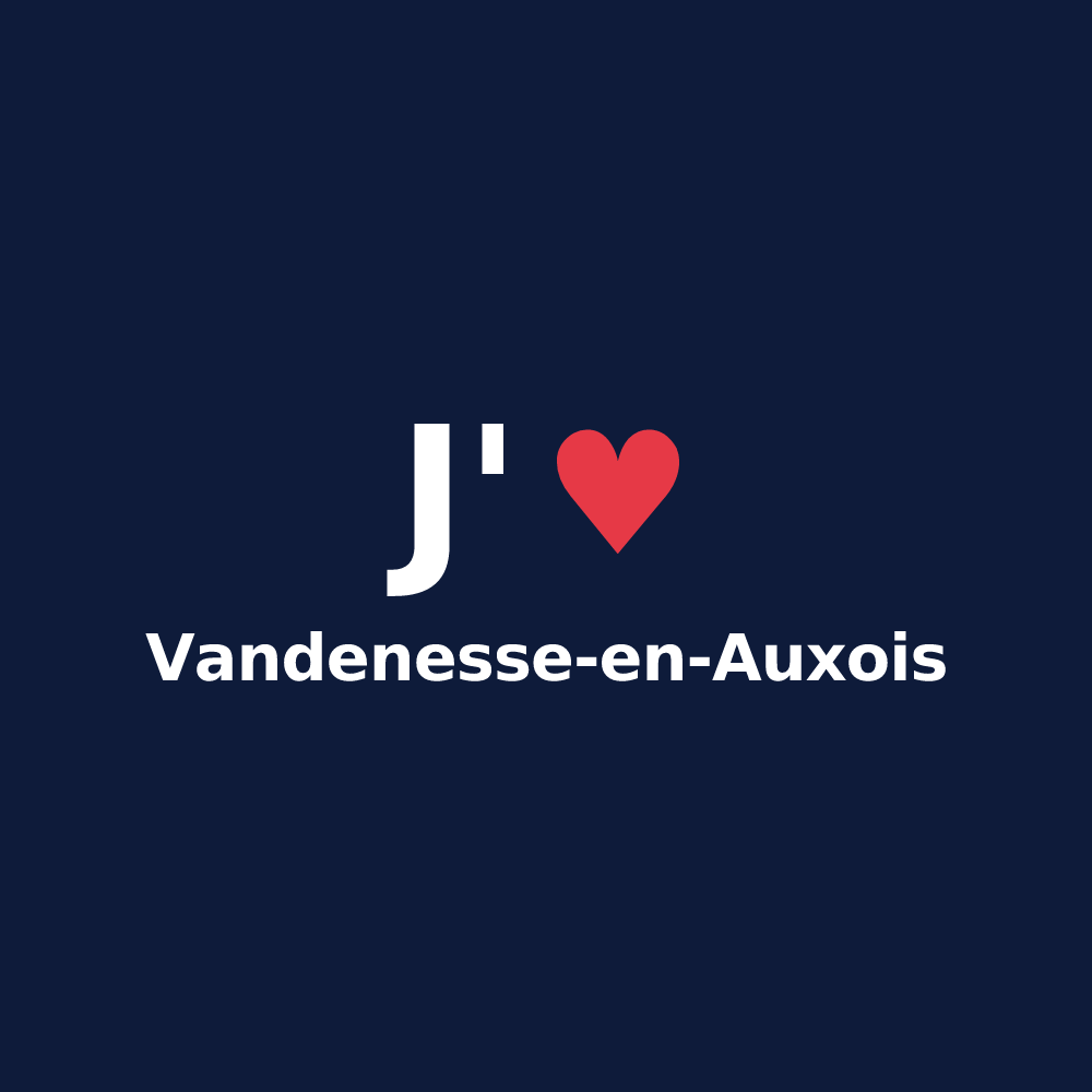 T-shirt personnalisé Vandenesse-en-Auxois — design J'aime Vandenesse-en-Auxois