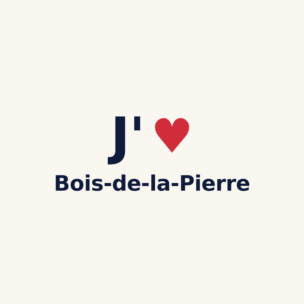 Tasse personnalisée Bois-de-la-Pierre — design J'aime Bois-de-la-Pierre