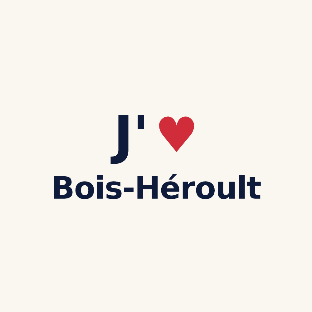 Tasse personnalisée Bois-Héroult — design J'aime Bois-Héroult
