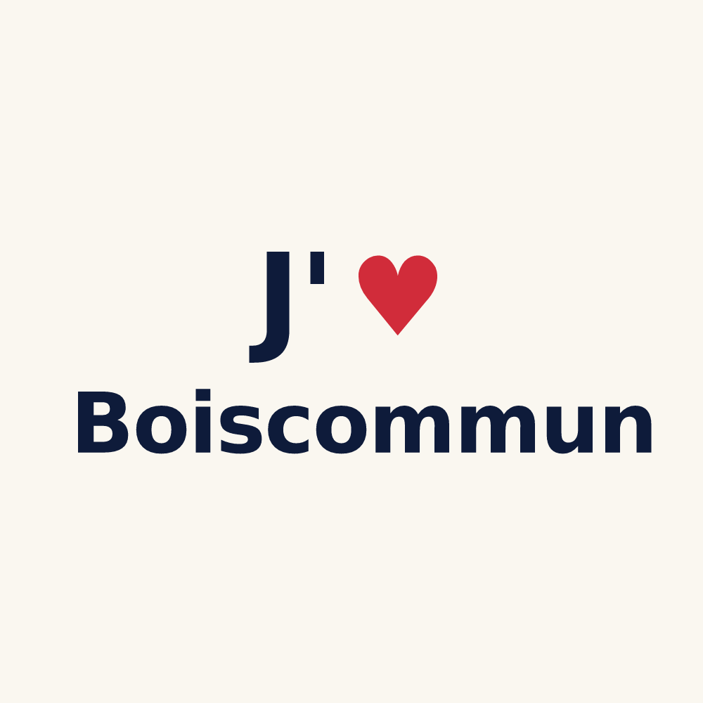 Tasse personnalisée Boiscommun — design J'aime Boiscommun