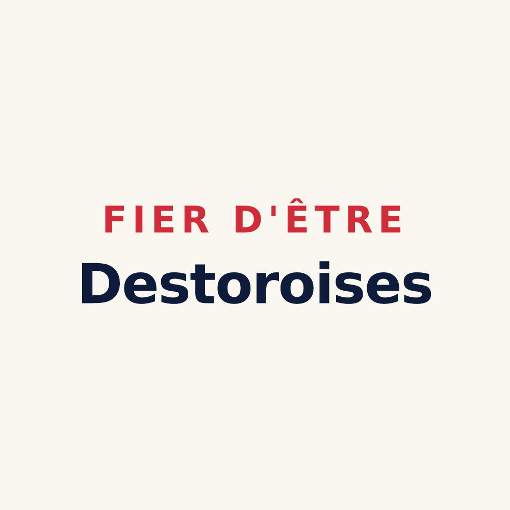 Tasse « Fier d'être Destoroises » — design pour Destord