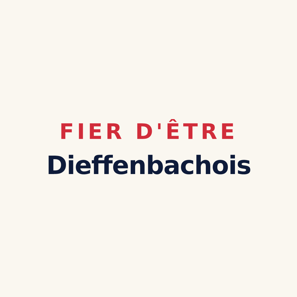 Tasse « Fier d'être Dieffenbachois » — design pour Dieffenbach-au-Val
