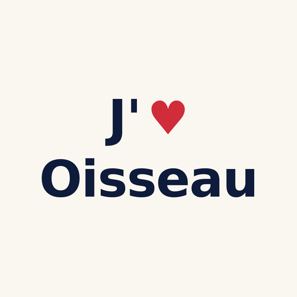 Tasse personnalisée Oisseau — design J'aime Oisseau