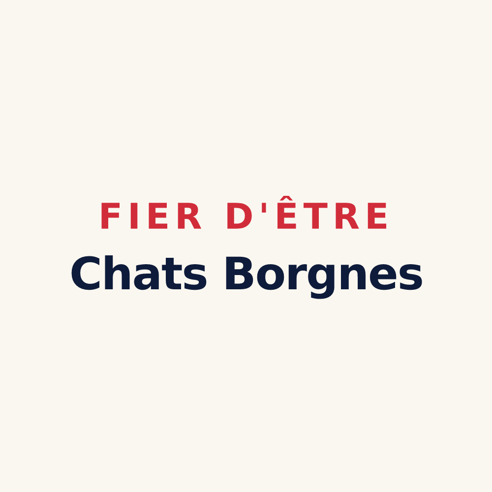 Tasse « Fier d'être Chats Borgnes » — design pour Saint-Antoine