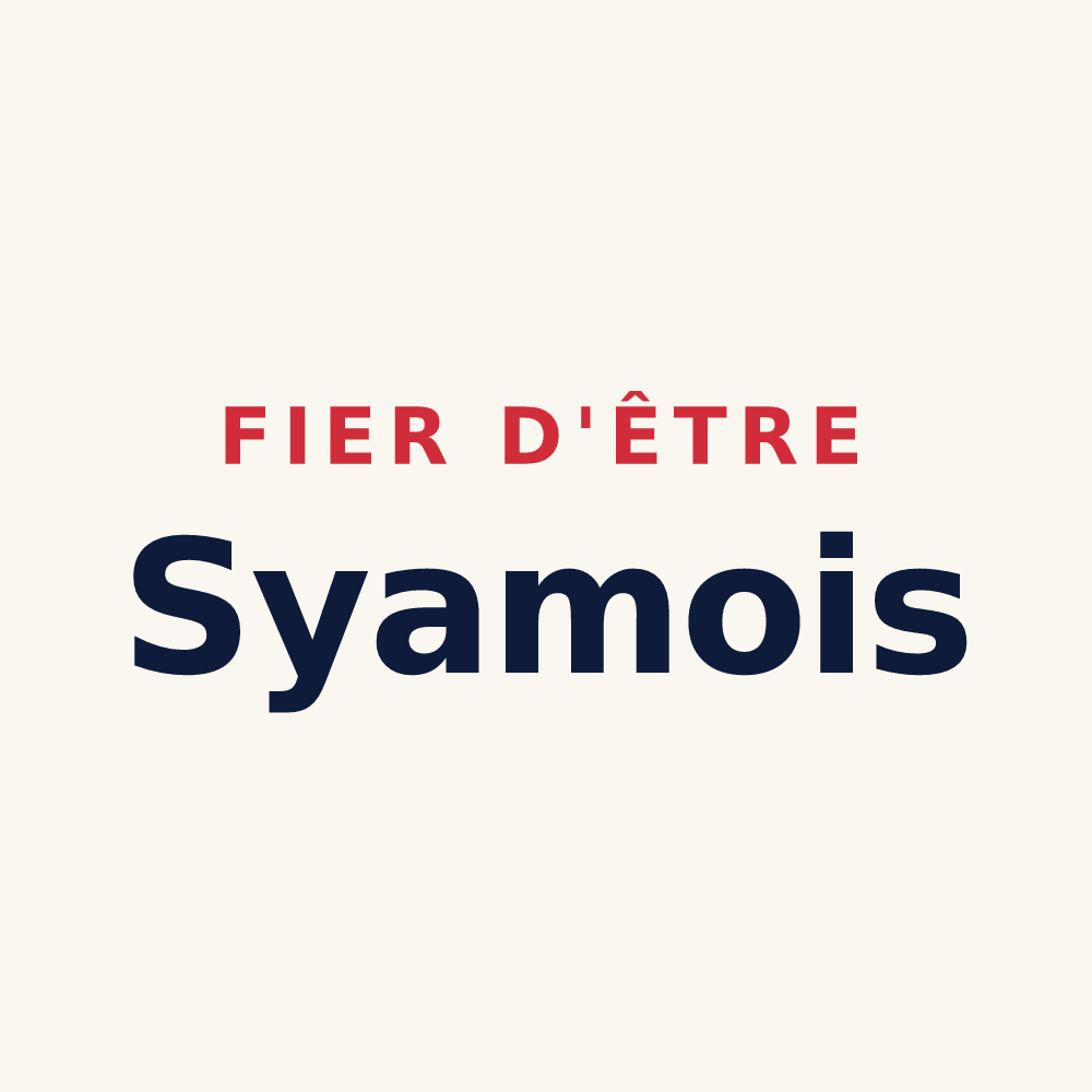 Tasse « Fier d'être Syamois » — design pour Syam