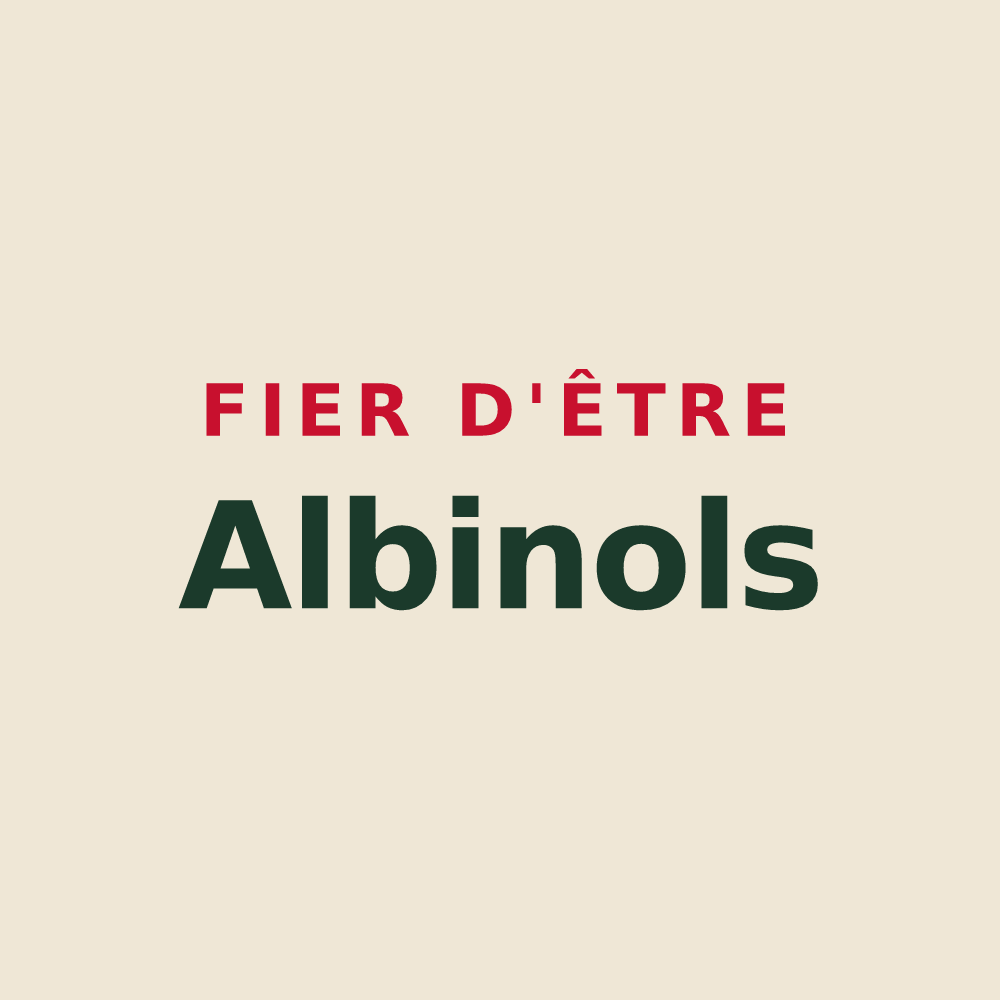 Tote bag « Fier d'être Albinols » — design pour Albine