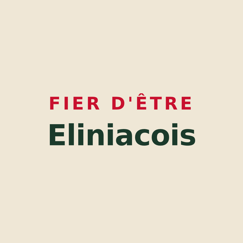 Tote bag « Fier d'être Eliniacois » — design pour Alligny-Cosne