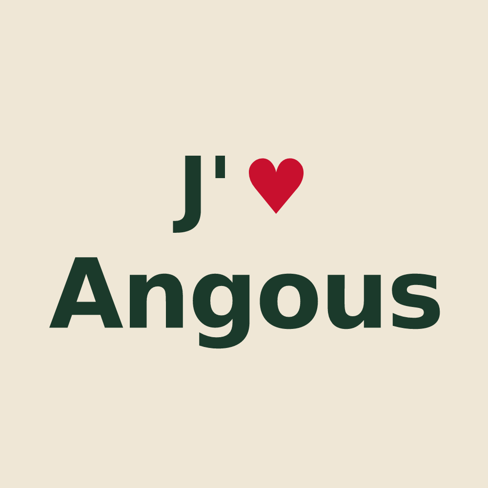 Tote bag personnalisé Angous — design J'aime Angous