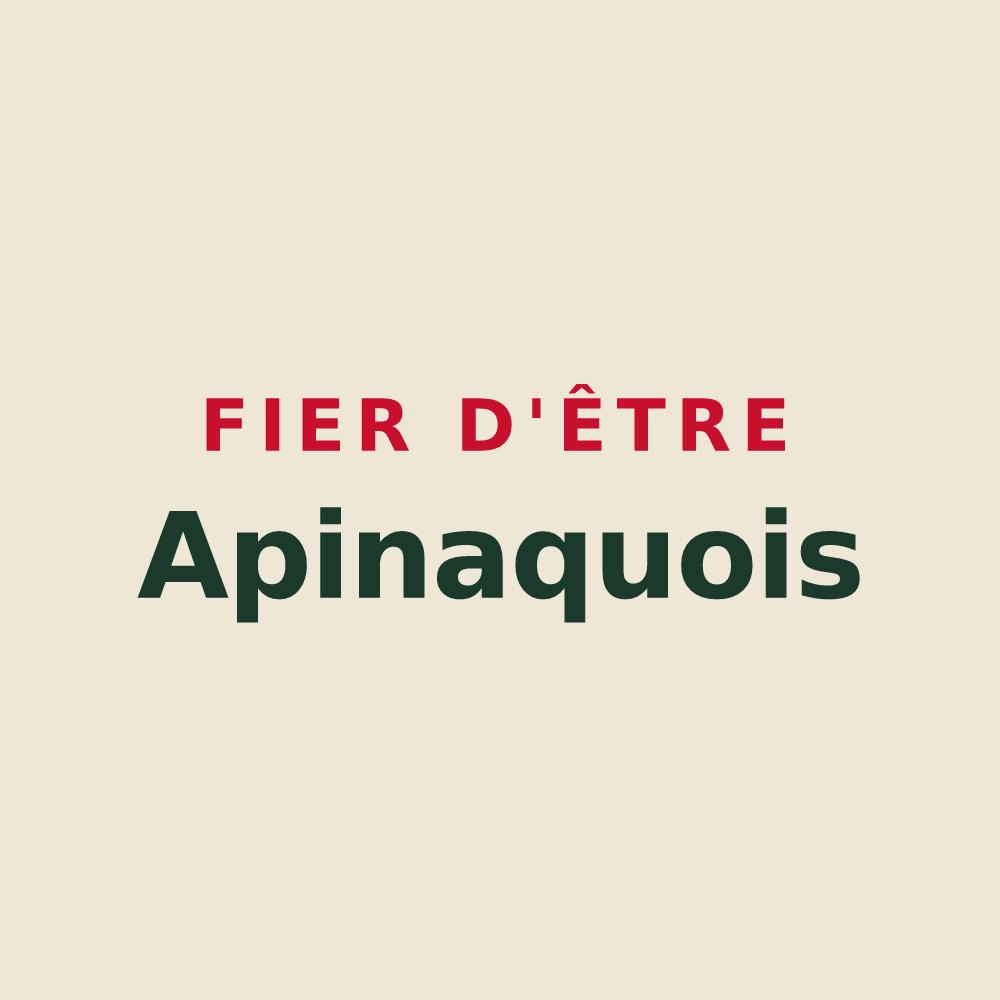 Tote bag « Fier d'être Apinaquois » — design pour Apinac
