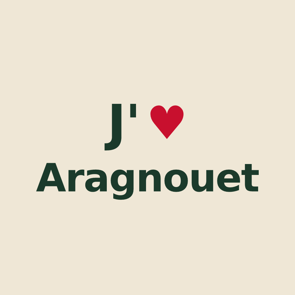 Tote bag personnalisé Aragnouet — design J'aime Aragnouet