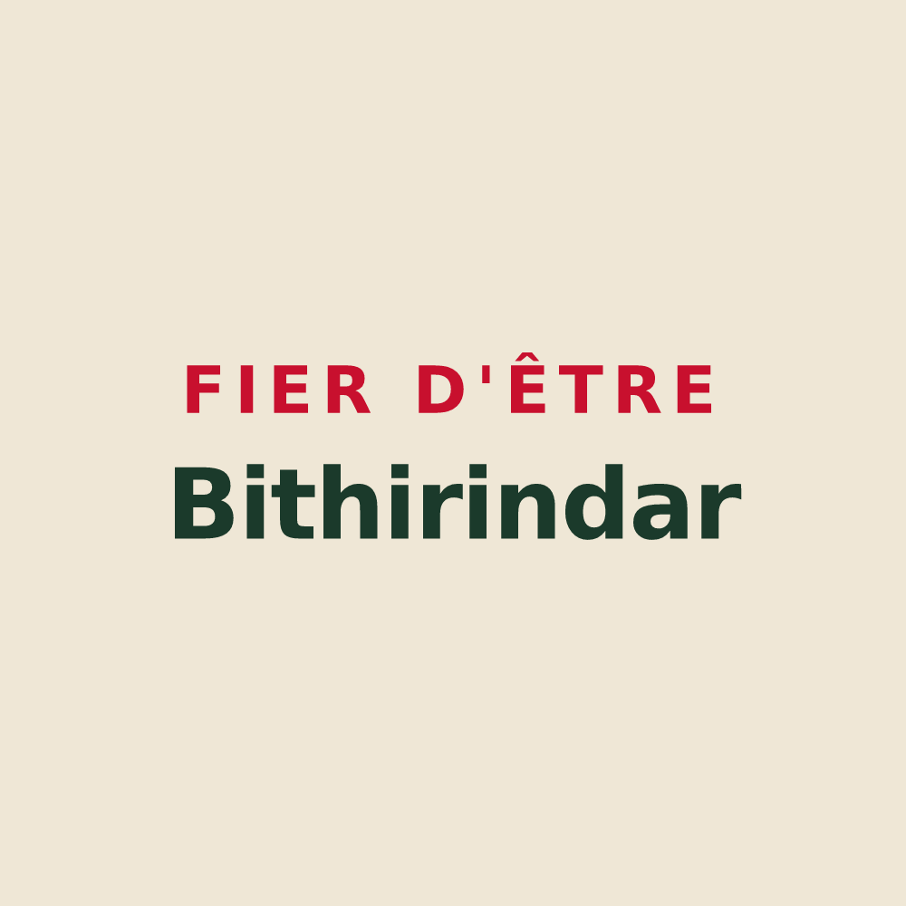 Tote bag « Fier d'être Bithirindar » — design pour Beyrie-sur-Joyeuse