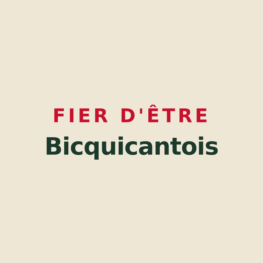 Tote bag « Fier d'être Bicquicantois » — design pour Bicqueley