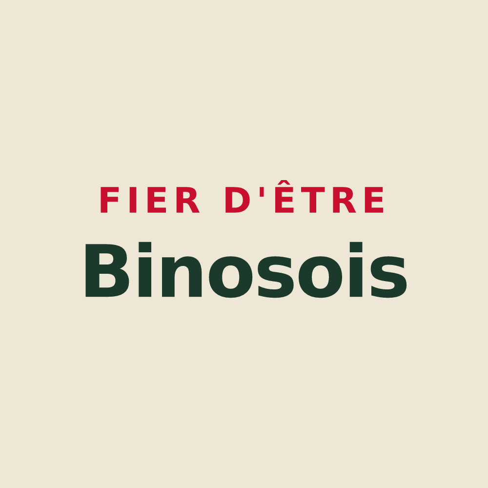Tote bag « Fier d'être Binosois » — design pour Binos