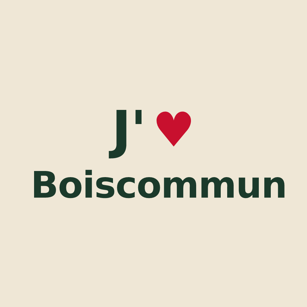 Tote bag personnalisé Boiscommun — design J'aime Boiscommun