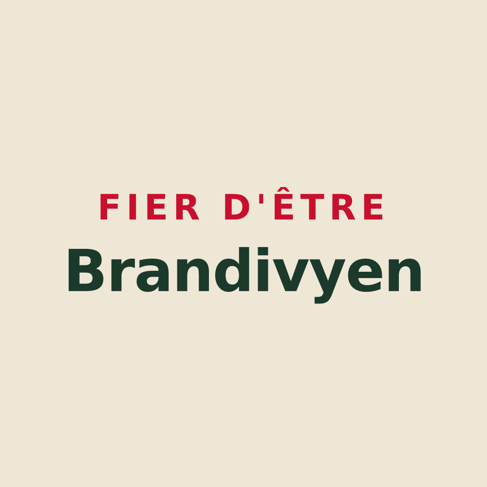 Tote bag « Fier d'être Brandivyen » — design pour Brandivy