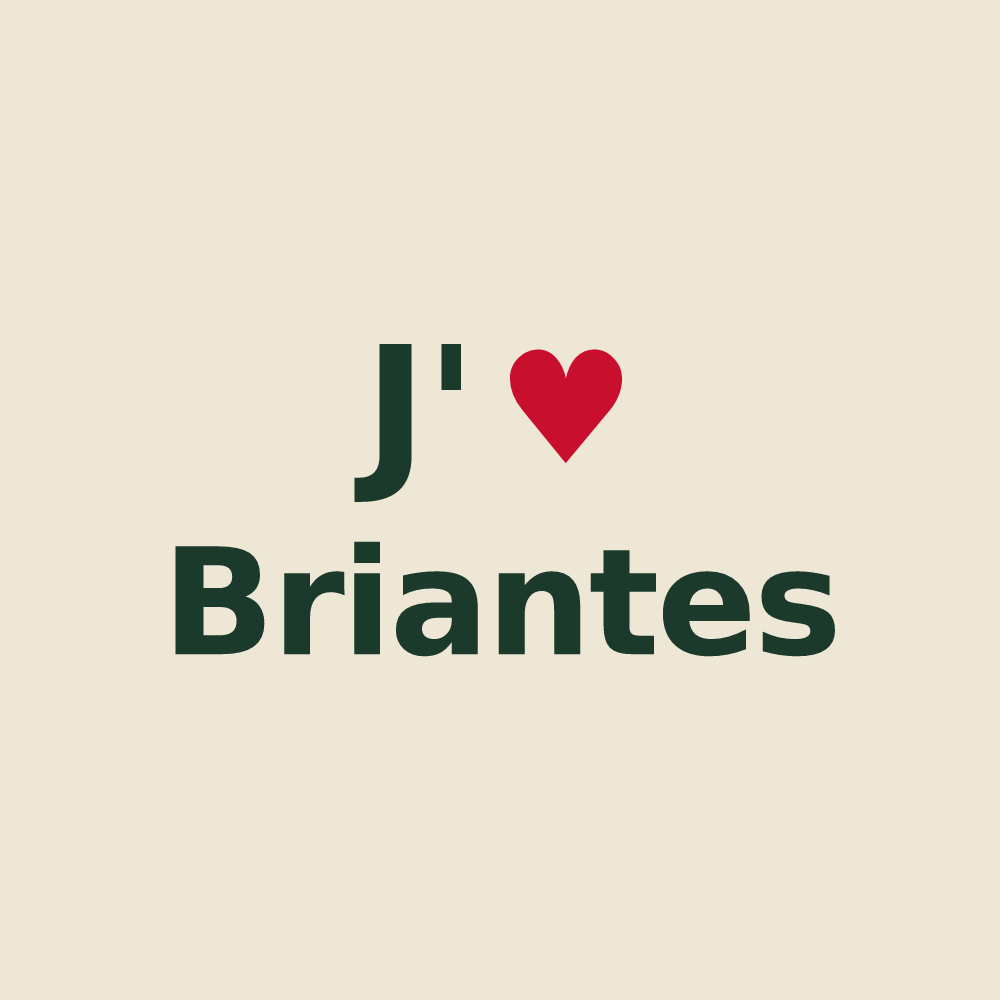 Tote bag personnalisé Briantes — design J'aime Briantes