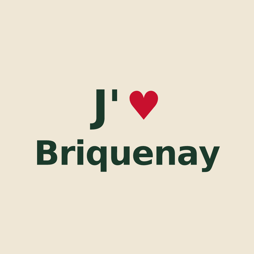 Tote bag personnalisé Briquenay — design J'aime Briquenay