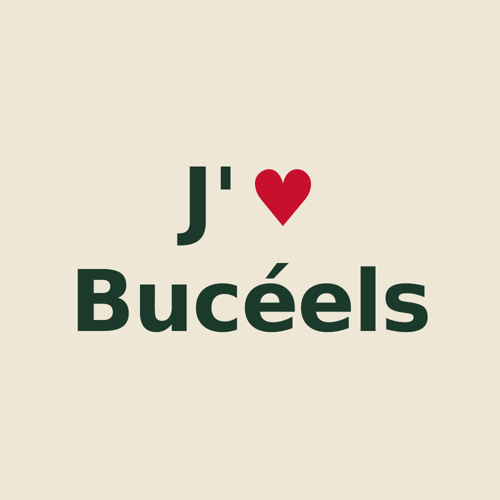 Tote bag personnalisé Bucéels — design J'aime Bucéels