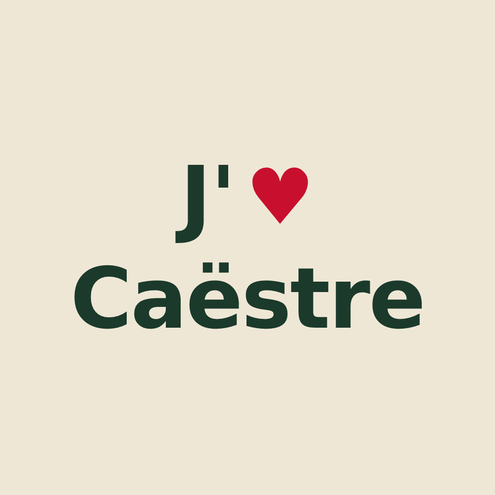 Tote bag personnalisé Caëstre — design J'aime Caëstre