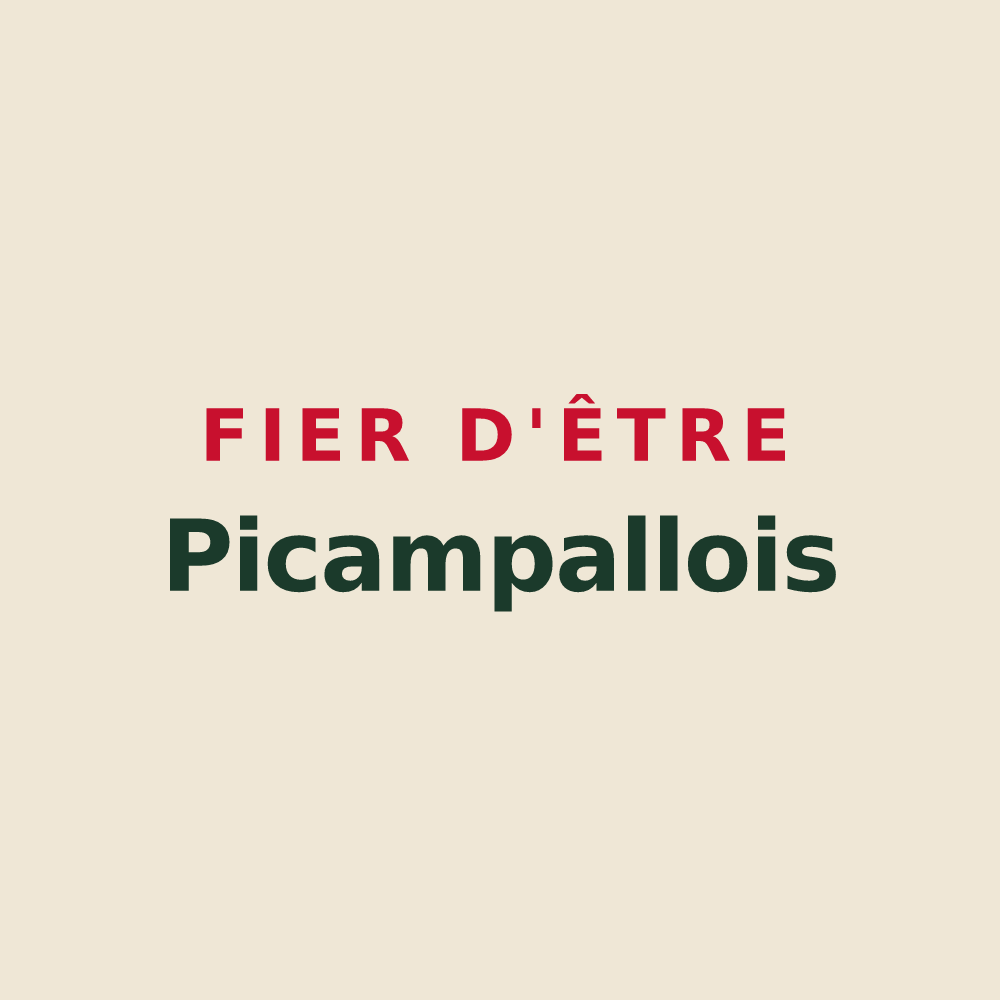 Tote bag « Fier d'être Picampallois » — design pour Castelnau-Picampeau