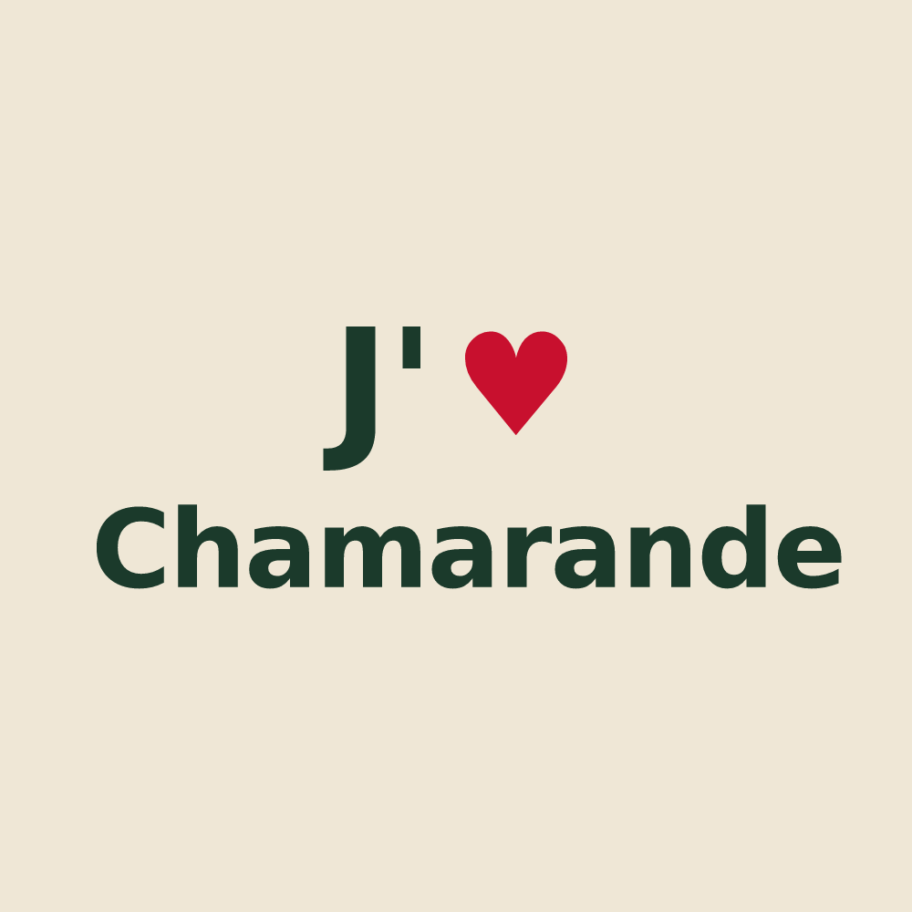 Tote bag personnalisé Chamarande — design J'aime Chamarande
