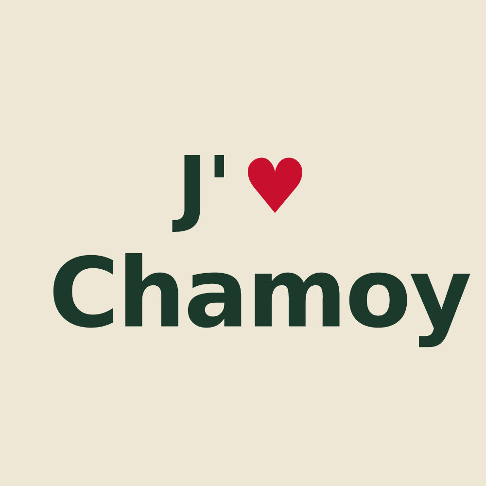 Tote bag personnalisé Chamoy — design J'aime Chamoy